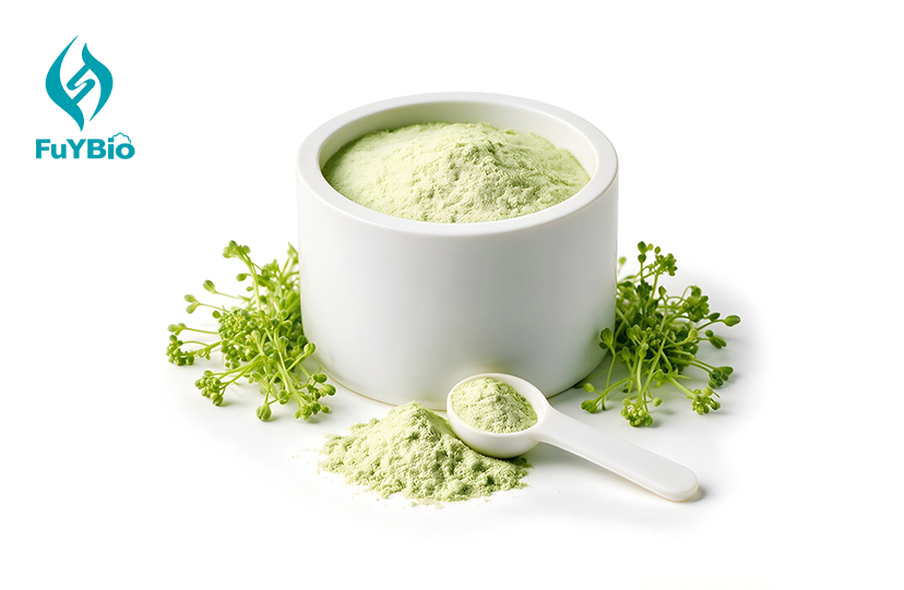 Broccoli Sprout Extract Powder